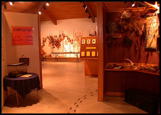 Nature Center exhibits and games