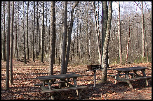Public Picnic Areas near Deer Run Shelter