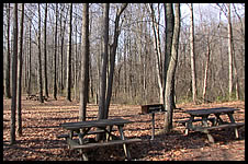 Picnic Area near playground and Deer Run Shelter